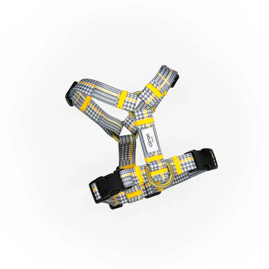 ciiron｜ハーネス Matthew